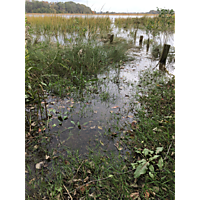 Suffolk King Tide image